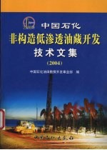 中国石化非构造低渗透油藏<em>开发</em>技术文集  2004