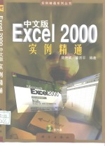 Excel 2000中文版实例精通