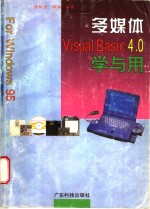多媒体Visual Basic 4.0学与用