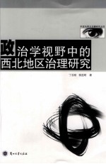 政治学视野中的西北地区治理研究
