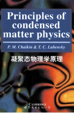 凝聚态物理学原理  英文版