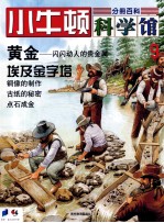 小牛<em>顿</em>科学馆  9  黄金、埃及金字塔