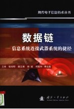 数据链  信息<em>系统</em>连接武器<em>系统</em>的捷径
