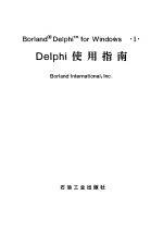 Delphi<em>使用</em>指南
