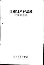 我国<em>技术</em>革命的道路