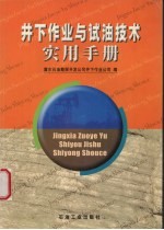 井下<em>作业</em>与试油技术实用手册