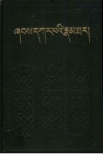 夏嘎巴<em>传</em>  <em>下</em>  藏文