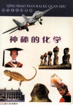 青少年百科全书  10  神秘的化学