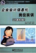 企业会计信息化岗位实训  计算机版