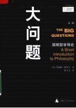 大问题  第2版