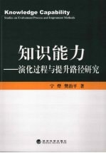 知识能力  深化过程与提升路径研究