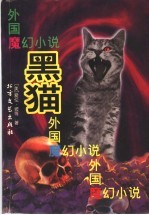 黑猫  外国魔幻小说
