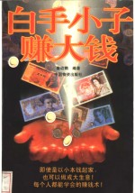 白手小子赚<em>大钱</em>