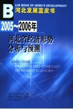 2005-2006年河北省经济社会形势分析与预测  经济卷