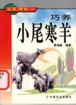 巧养小尾寒羊