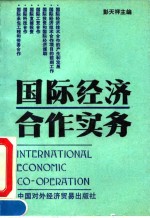 国际经济合作实务