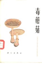 毒蘑菇