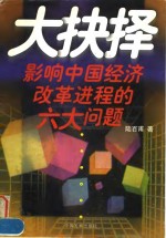 大抉择  影响中国经济改革进程的六大问题