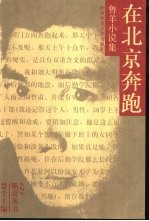 在北京奔跑  鲁<em>羊</em>小说集