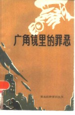 广角镜里的罪恶