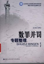 数罪并罚专题整理  北京师范大学刑事法律科学研究院刑法学研究总整理文库