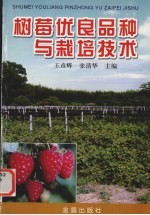 树莓优良品种与栽培技术