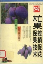 杧果控梢促花保果技术