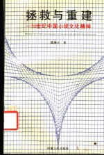拯救与重建  20世纪中国小说文化精神
