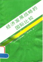 经济发展战略的国际比较