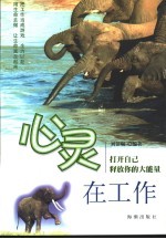 心灵在工作