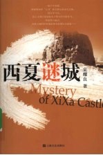西夏谜城