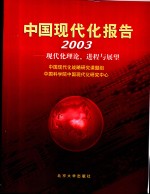 中国现代化报告  2003  现代化理论、进程与展望