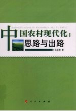 中国农村现代化  思路与出路