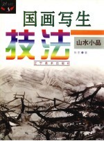 国画写生技法  山水小品