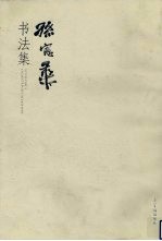 孙宪华<em>书<em>法集</em></em>