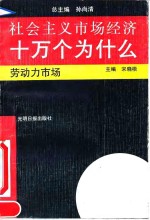 社会主义市场经济十万个为什么  劳动力市场分册