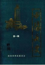 <em>田阳</em>文史  第一辑