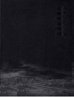 新世纪·新<em>沈阳</em>  <em>沈阳</em>城市规划