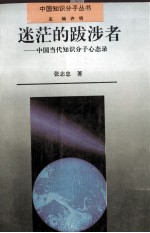 迷茫的跋涉者  中国当代知识分子心态录