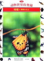 动物<em>世界</em>的<em>奥秘</em>  图集  26  蝴蝶  蝴蝶的变态