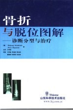 骨折与脱位图解  诊断分型与治疗