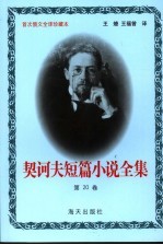 <em>契<em>诃夫</em></em>短篇小说全集  第20卷