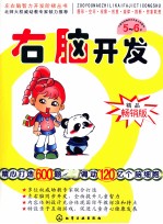 右脑开发  5-6岁  精品畅销版