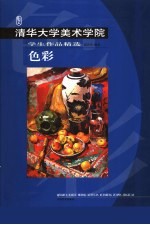 清华大学美术学院学生作品精选  色彩