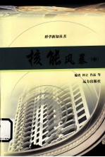 核能风暴  中