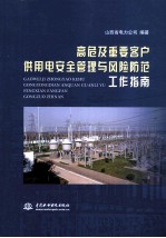 高危及重要客户供<em>用电</em><em>安全</em>管理与风险防范工作指南