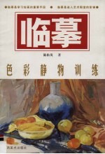 临摹  色彩静物训练