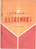 在毛主席光辉照耀下