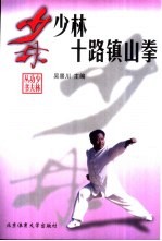 少林十路镇山<em>拳</em>