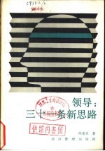 领导  三十一条新思路